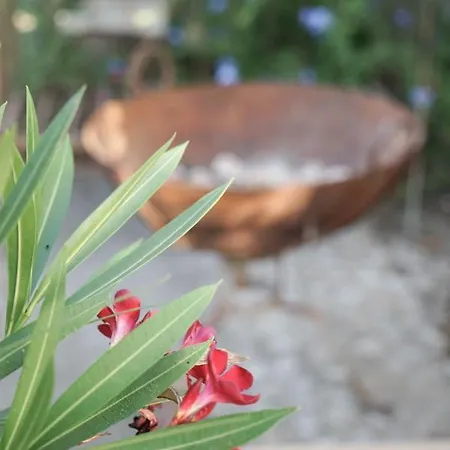 Villa El Toro Blanco Luxury In Andalucia