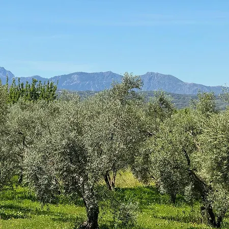 El Toro Blanco Luxury In Andalucia Villa *