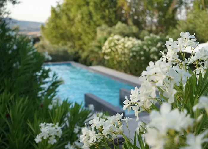 El Toro Blanco Luxury In Andalucia