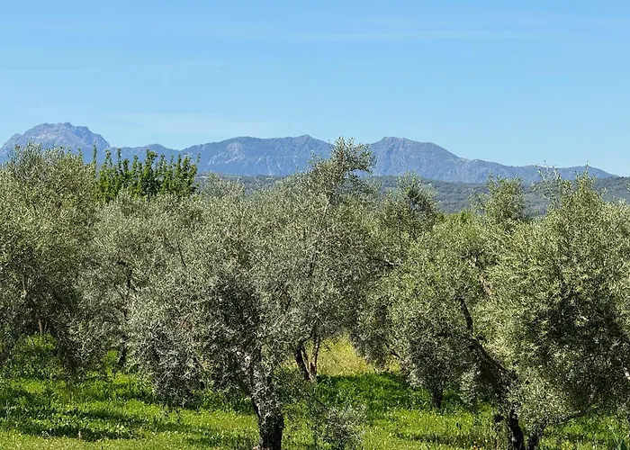 El Toro Blanco Luxury In Andalucia 빌라 *